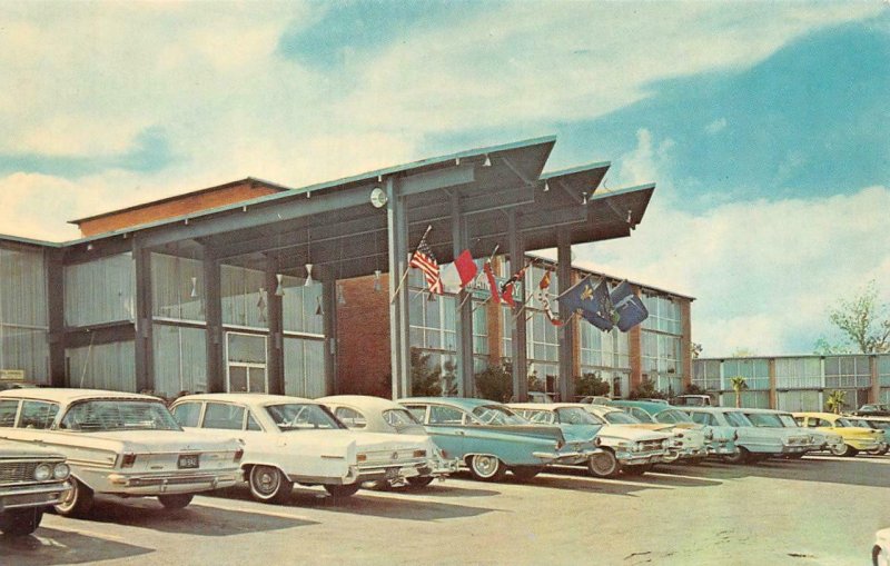 SAN ANTONIO, Texas TX   EL ANTONIO MOTEL~Treadway Motor Inn   ROADSIDE  Postcard