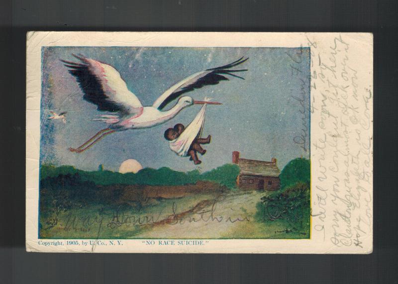 1908 Postcard Black Americana Cover No Race Suicide Stork w Babies Dunedin FL