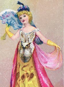 1880s Victorian Trade Card Fantasy Lovely Lady Owl Dress P5