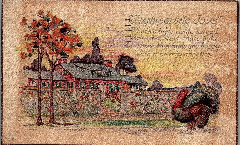 1924 THANKSGIVING JOYS TURKEY FALL LEAVES BRICK HOUSE COLORFUL POSTCARD 34-80