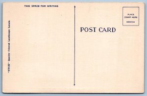 GREETINGS FROM STARKE FLORIDA VINTAGE LINEN POSTCARD
