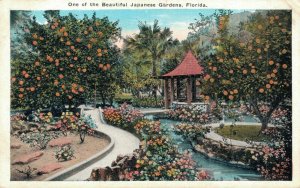 USA One of the Beautiful Japanese Gardens Florida Vintage Postcard 07.59