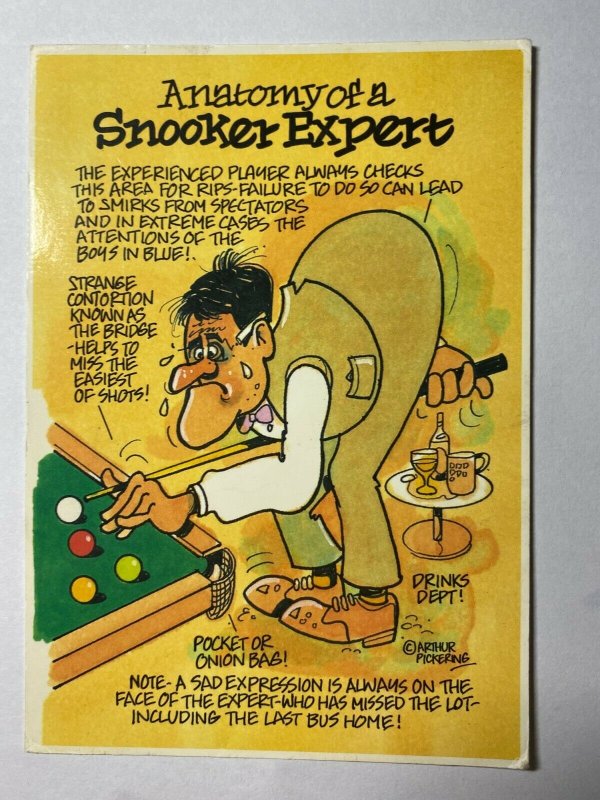 Unused Humourous Postcard - Anatomy of a Snooker Expert (Kk2484) | Topics -  Cartoons & Comics - Comics, Postcard / HipPostcard