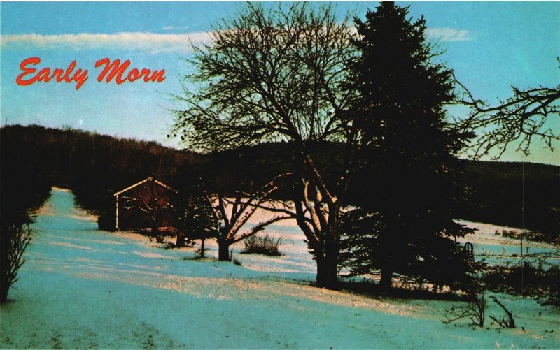 Postcard Early Morning Beautiful Color Sunrise New England Winter NATCO Pub.