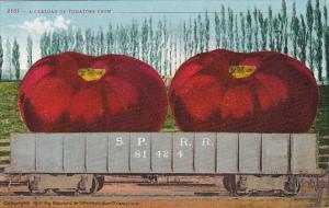 Exaggeration Large Tomatoes On Railroad Card