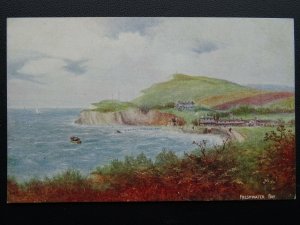 Isle of Wight FRESHWATER BAY - W.W. Quinton Old Postcard by J Salmon 781