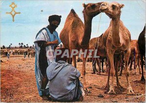 Postcard Modern Blue Men at Moussem Asrlr Camels