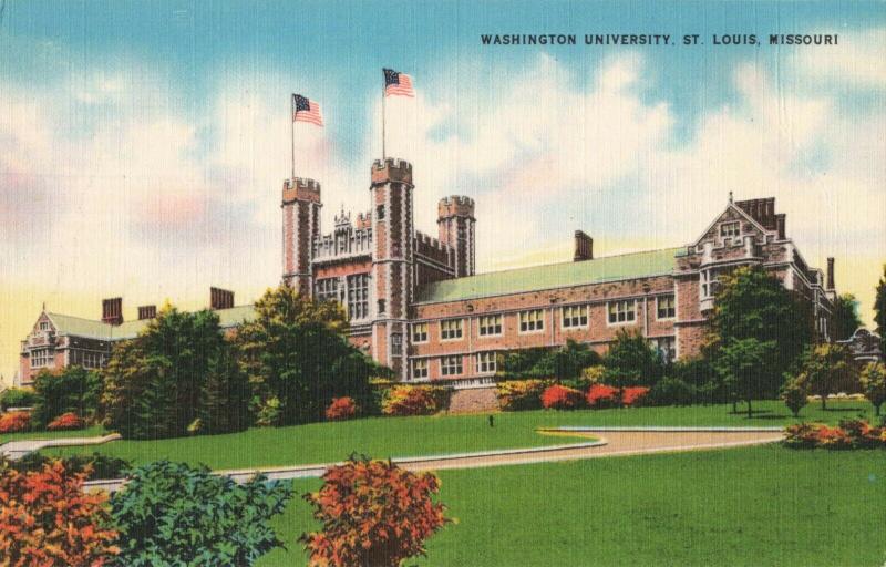 Postcard Washington University St Louis Missouri