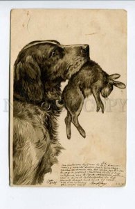 424183 RUSSIA 1901 year Hunt SETTER dog HARE Vintage embossed RPPC