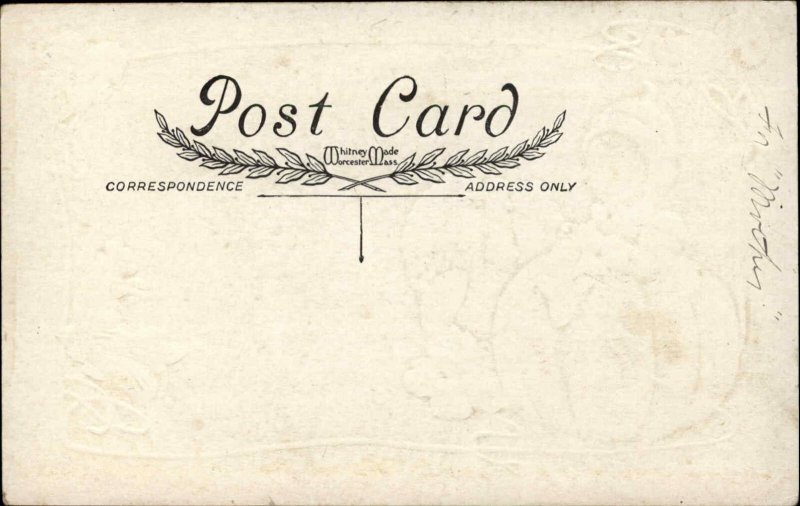 Thanksgiving - Whitney Part of Set - Child Turkey & Pumpkin c1910 Postcard #2