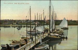 Oak Bluffs Martha's Vineyard MA New Harbor c1910 Postcard