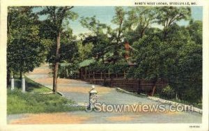 Bird's Nest Lodge - Steelville, Missouri MO Postcard