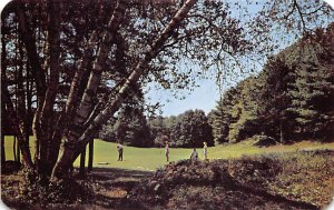 No. 2 green of 3000 yard private golf course at Vacation Valley - Echo Lake, ...
