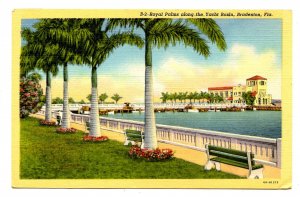 FL - Bradenton. Yacht Basin, Memorial Pier, Royal Palms