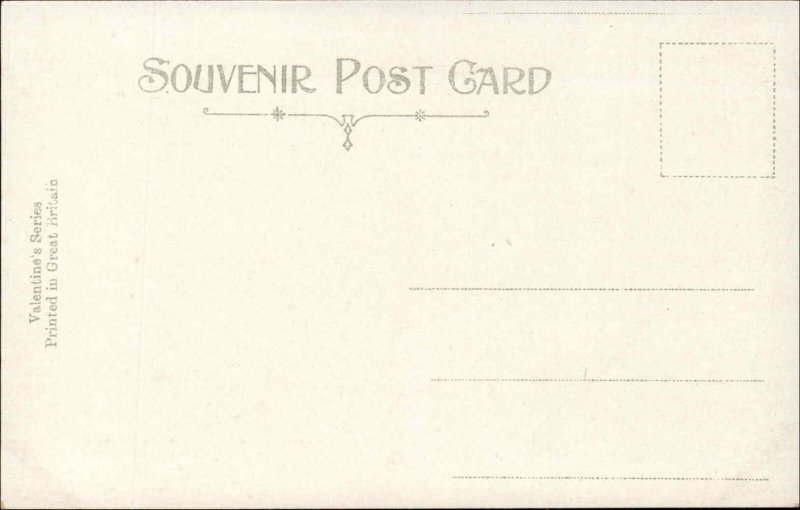 Fermoy Ireland Salmon Leap c1900s Postcard