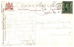 Dog  ,  Terrier  Puppy , rabbitts