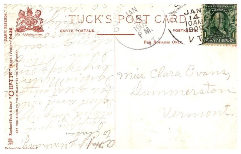 Dog  ,  Terrier  Puppy , rabbitts