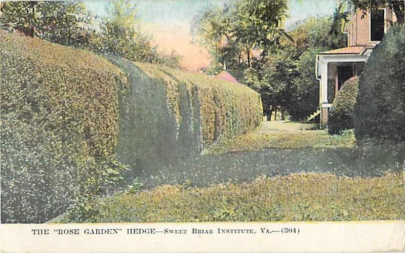 D/B Rose Garden Hedge Sweet Briar Institute Virginia VA 1911