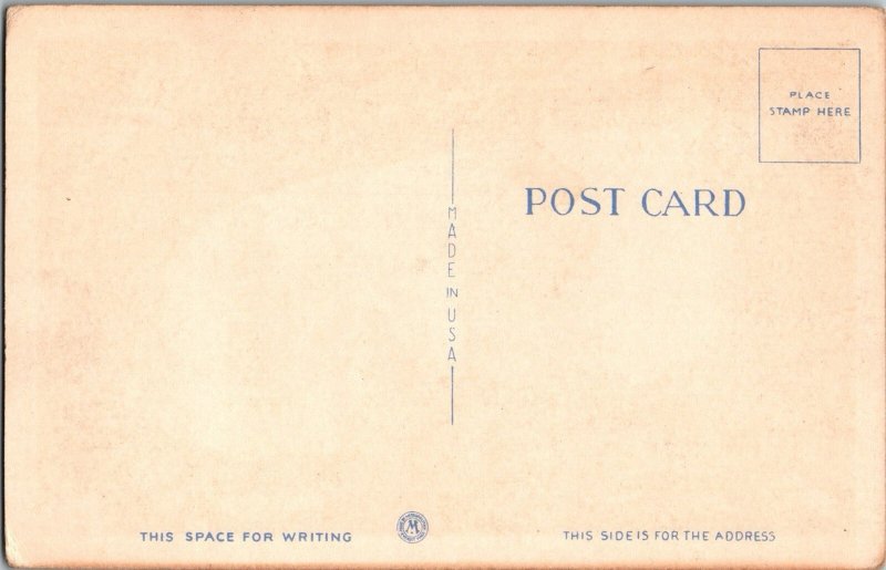 Vintage Postcard SENECA PARK BRIDGE TO BOWMAN FIELD LOUISVILLE KENTUCKY KF4