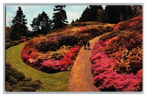 Vintage Postcard OR Azaleas In Bloom Washington Park Portland Oregon
