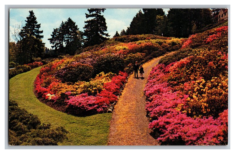 Vintage Postcard OR Azaleas In Bloom Washington Park Portland Oregon  