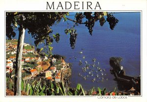B110196 Spain Camara de Lobos Madeira Fishing Village Boats Bateaux Panorama
