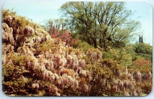 Postcard - Highland Park - Rochester, New York