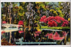 Bridge & Stream, Magnolia Gardens, Charleston SC