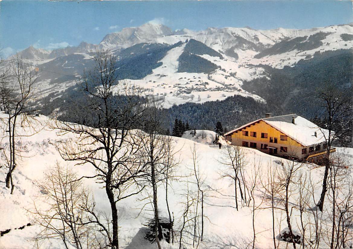 France St Nicolas La Chapelle Marcinelle En Montagne Winter Hippostcard