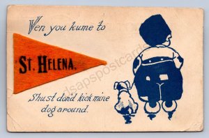 K1/ St Helena California Felt Pennant Postcard c1910 Dog Child 227