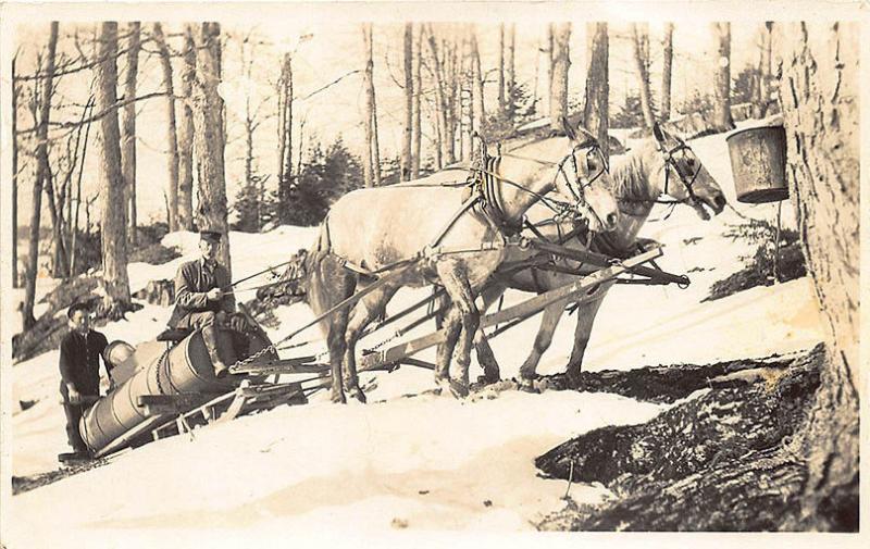 Vermont Area Maple Syrup Collecting Horse Drawn Sled RPPC Postcard