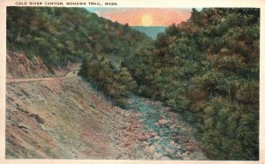 Vintage Postcard Cold River Canyon Mohawk Trail Massachusetts Benj Lenhoff Pub.