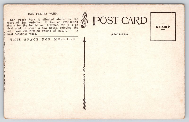 San Antonio Texas~San Pedro Park~Folks Cross Bridge~c1910 Postcard