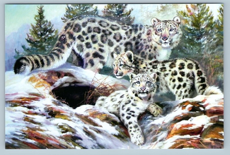 SNOW LEOPARD IRBIS Ounce Big Cat Family Wild Animal New Unposted Postcard