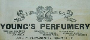 1870s-80s Young's Perfumery, Wistaria Bloom Wild Woodbine Victorian Print Ad L14