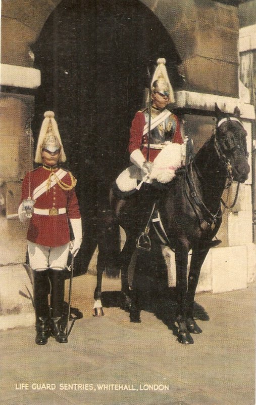 Life Guard Sentries, Whitehall. London. Horse  Vintage English PC. Standard si