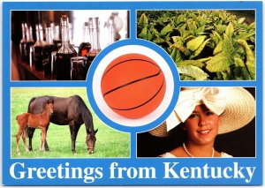 VINTAGE CONTINENTAL SIZE POSTCARD MULTIPLE SCENES GREETINGS FROM KENTUCKY