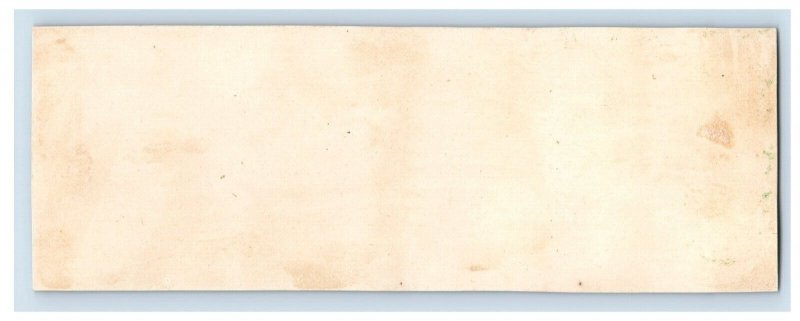 1870's-80's Star Braid Bookmark Kids Swinging Original Victorian Trade Card P24