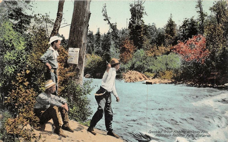 br105550 whiskey falls algonquin national park ontario canada fishing trout