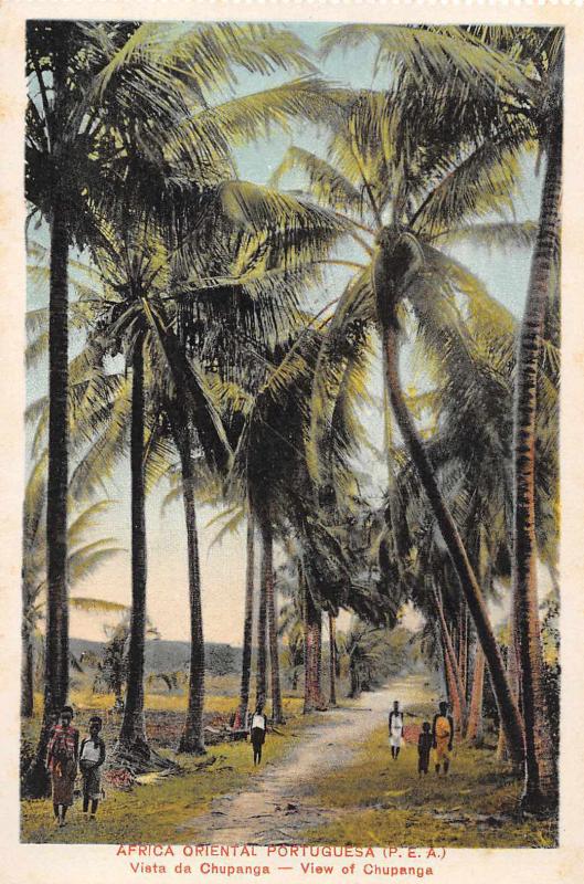 Chupanga Mozambique Scenic View Africa Oriental Portuguesa Antique PC (J34621)