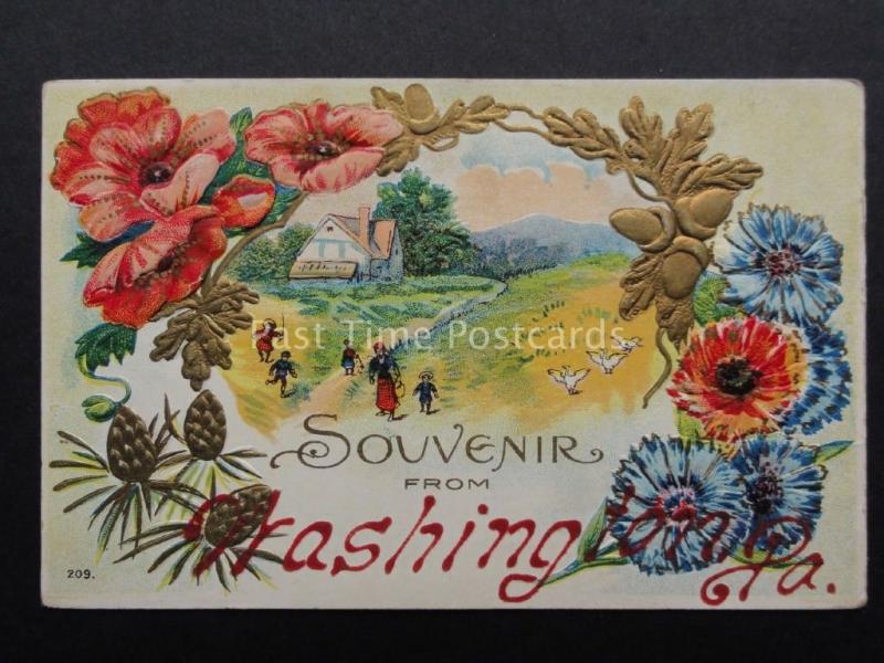 Poppies: Embossed Souvenir from WASHINGTON P.A. - Donate to R.B.L.