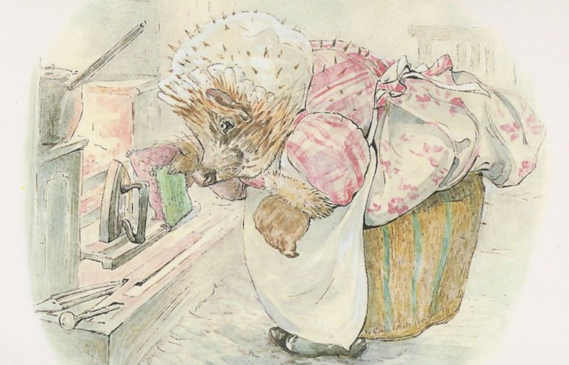 The Tale Of Miss Tiggy Winkle 1905 Beatrix Potter Book Postcard