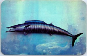 VINTAGE POSTCARD WAHOO FISH LARGEST OF THE MACKAREL FAMILY KODACHROME BY VALENCE