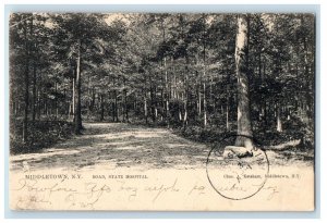 1905 State Hospital Road Middletown New York NY Tuck Posted Postcard