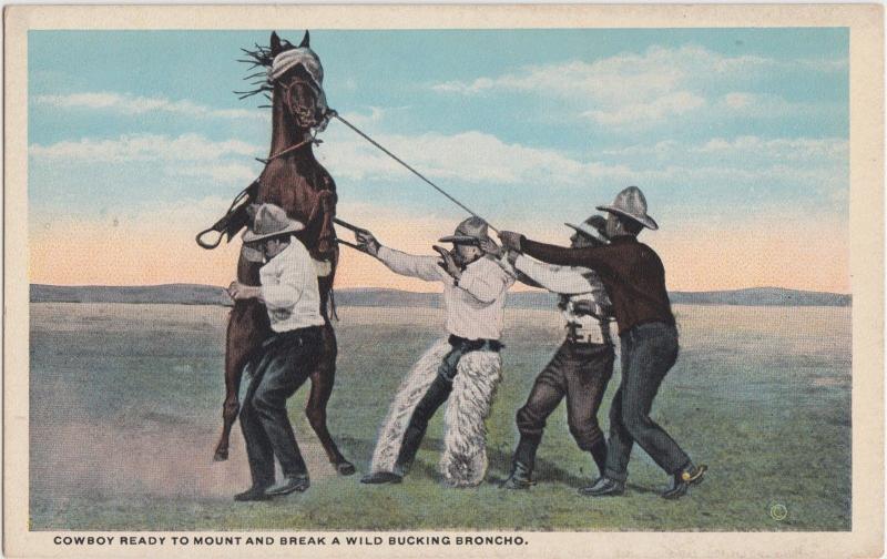 c1910 COWBOYS Postcard BUCKING BRONCHO Mount and Break Chaps West