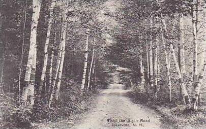 New Hampshire Intervale Thru The Birch Road Albertype