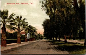 Vtg 1908 Brookside Avenue Redlands California CA Postcard