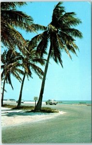 Postcard - Florida