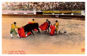 Bull Fighting   Death of  the  Matador