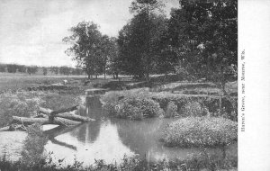 MONROE, WI Wisconsin  HAREN'S GROVE Marsh~Stream  GREEN COUNTY  c1910's Postcard